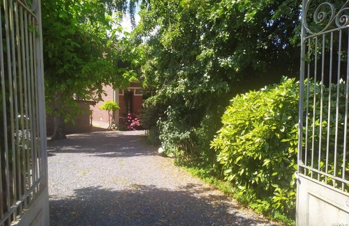 Thivencelle Ski Chalet | Artists' studio : "La Villa Saint Ghislain" : "GINKO" Studio