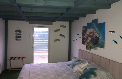 Shiribana Other | Aruba Local Stay