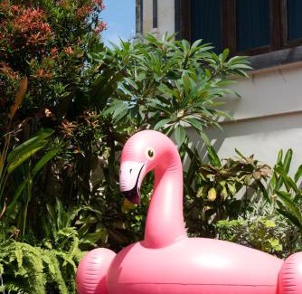 Beraban House | Aryma Guest House near Nuanu City, Kedungu Beach and Tanah Lot