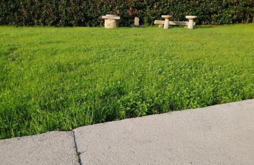 Cee House | As Laxes