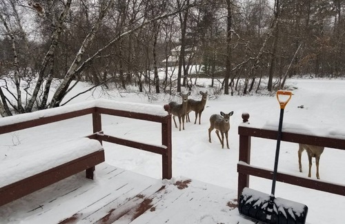Long Pond Cabin | Ash Cottage in Poconos near Camelback & Kalahari