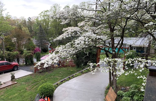 Burton Street House | Asheville Romantic Restful Retreat