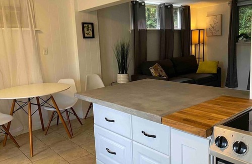 Kenilworth Apartment | Asheville Suite. Five minutes to downtown. Fast WiFi. Off Street Parking