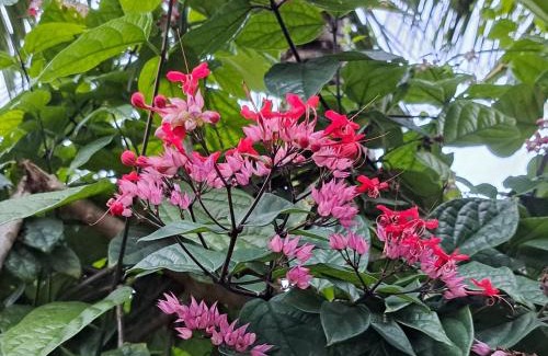 Sengkidu House | Asli Bali, the real Bali