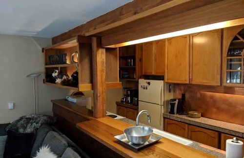 Moose Wilson Road Condo | Aspens-Spectacular mountain condo in great location!