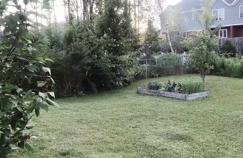 South Burlington House | Aster House/A thoughtfully curated and convenient South Burlington home