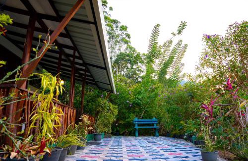 Ella Villa | Astral Zone Cottage ELLA-1st Pickup free from Ella City to Cottage