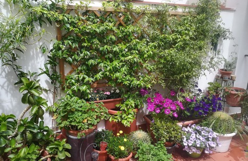Kalsa Apartment | At Kalsa Quiet & Flowered Terrace Free Park 2 min away Ideal for remote working!
