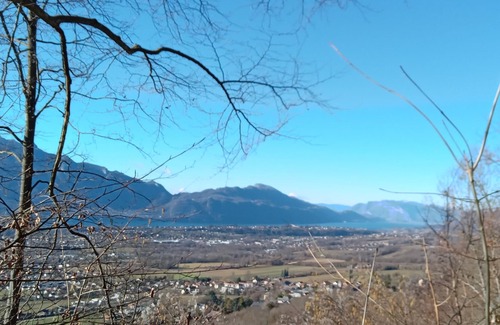 Mery House | At the edge of the wood