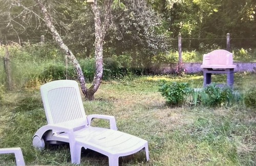 Pruniers-en-Sologne House | At the gates of Beauval Zoo