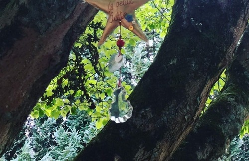 Cany-Barville Apartment | At the heart of a Maison du Pays de Caux near the sea