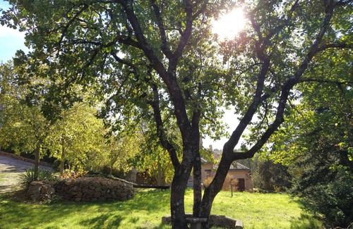 Bras Villa | At the heart of Provence