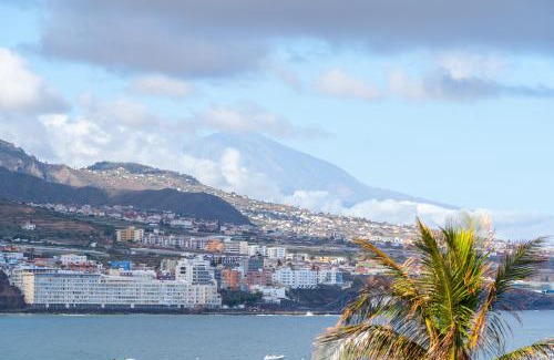 Punta del Hidalgo Apartment | Atlantic Views