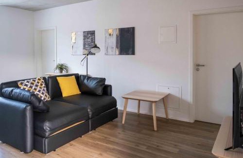 Schaffhausen Apartment | Atrium Apartments