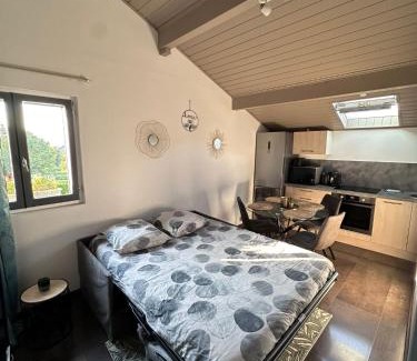 Thonon-les-Bains Apartment | Au calme, parking gratuit,proche centre Thonon les bains