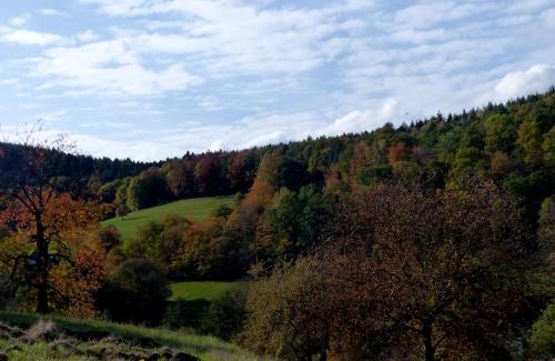 Muhlbach-sur-Munster Apartment | Au chalet de JO avec accès à l'espace piscine et jacuzzi