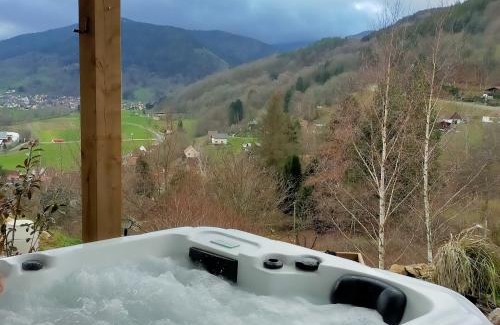 Muhlbach-sur-Munster Apartment | Au chalet de JO avec accès à l'espace piscine et jacuzzi
