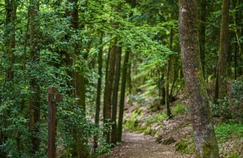 Sille-le-Guillaume Apartment | Au cocon de Sillé