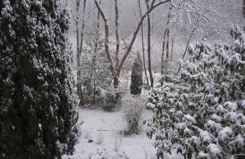 Cherreau Bed & Breakfast | Au Jardin de Lisa