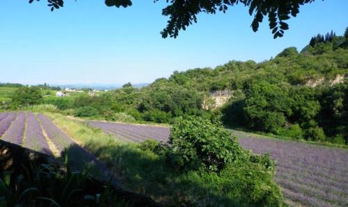 Bourg-Saint-Andeol House | AU MAS D'EMMA