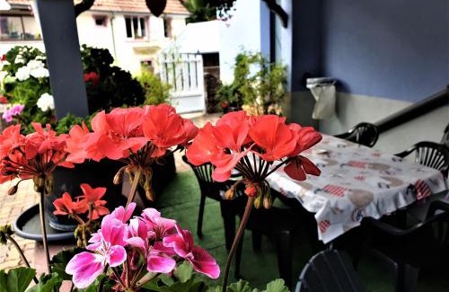 Klingenthal House | Au nid de la foret