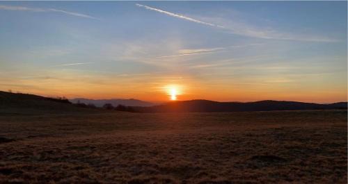 Munster Apartment | Au petit Meuh'ster