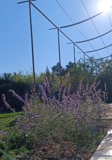 Cavaillon House | Au Romarin