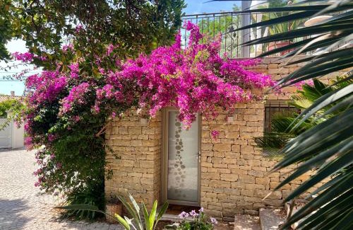 La Cadiere-d'Azur Apartment | Au rythme des cigales