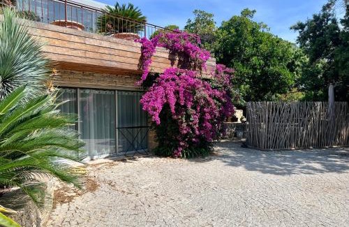 La Cadiere-d'Azur Apartment | Au rythme des cigales