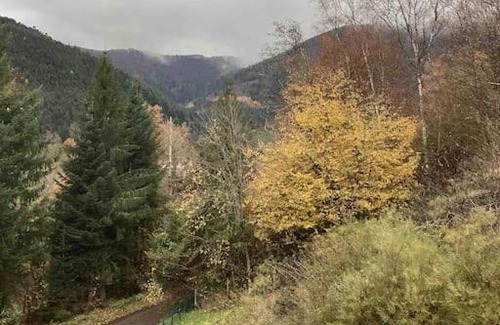 Fellering Apartment | Au Talhorn chez Marc