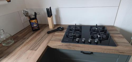 Notre-Dame-de-Monts House | Au vent de Notre Dame Maison 6 pers