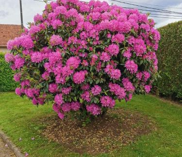 Morgny-la-Pommeraye Bed & Breakfast | Au verger de la Pommeraye