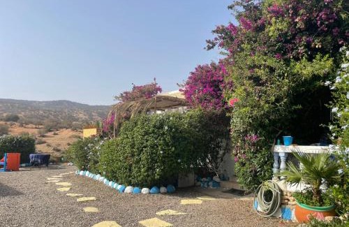 Tamri Bed & Breakfast | Auberge Villa des Jasmins