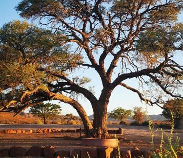 Karas Other | Aubures Camp