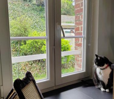 Woignarue Apartment | Augustine Cosy Studio Vue Mer - Parking gratuit