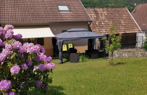 Luttenbach-pres-Munster House | Auntie's house sleeps 4.