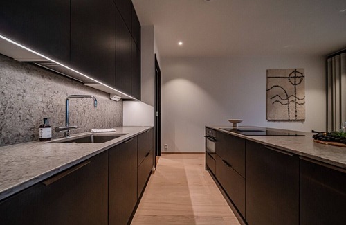 Sirkka Apartment | Aurora Luxe Chalet Ski-In/Ski-Out, Mountain View