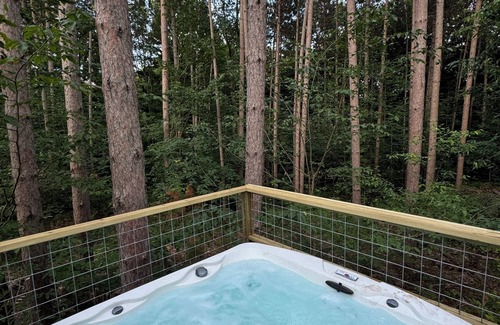 Benzonia Cabin | Aurora Luxury Dome + Hot Tub + Sauna + N MI + Kitchen + Bathroom + King + Queen!