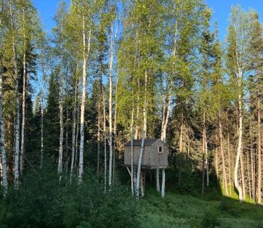 Fairbanks House | Aurora Ridge Cabin Stunning Views & Aurora Skies