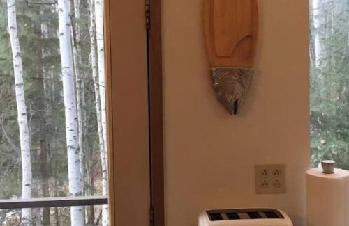 Fairbanks Apartment | Aurora SkyFire Manor