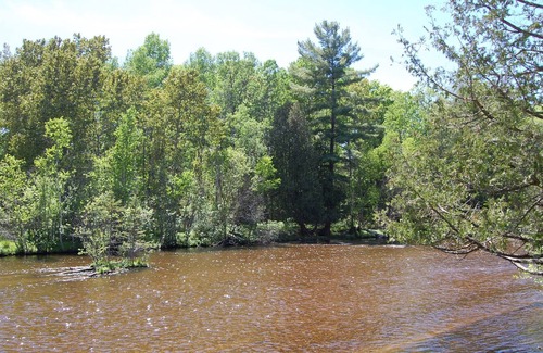 Grayling Cottage | Ausable River - Beautiful Views - Bear Den