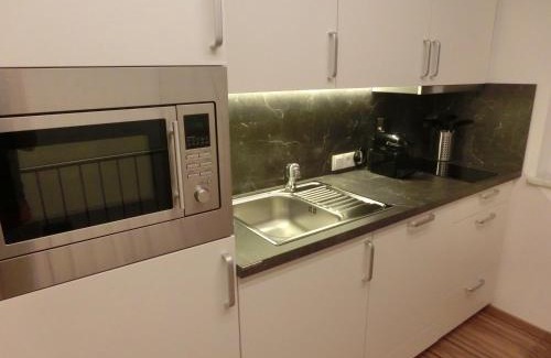 Laengenfeld Apartment | Ausblick
