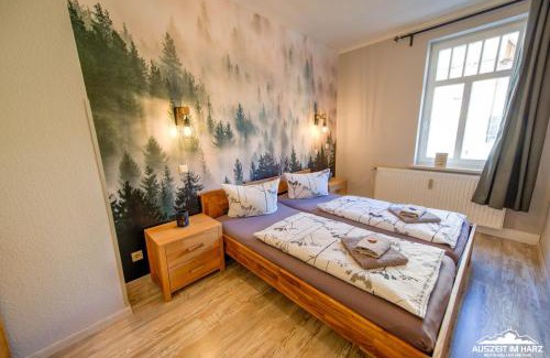 Mandelholz Apartment | Auszeit-im-Harz Haus 1 Wohnung Schnarcherklippe