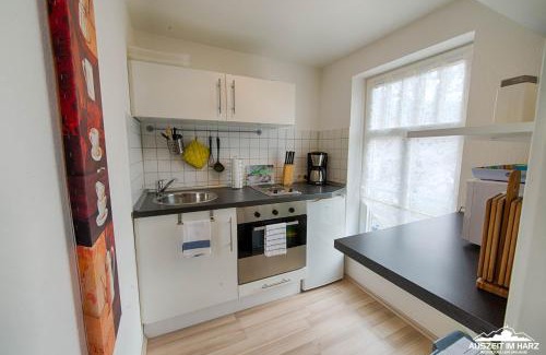 Mandelholz Apartment | Auszeit-im-Harz Haus 1 Wohnung Brockenzwerg