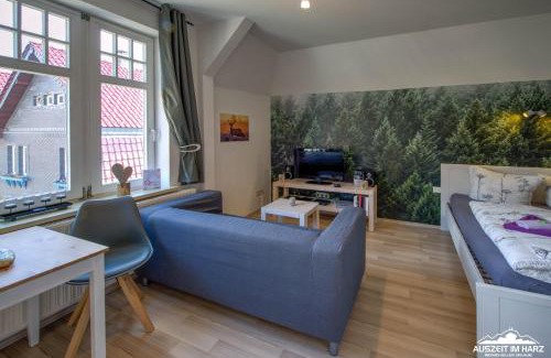 Mandelholz Apartment | Auszeit-im-Harz Haus 1 Wohnung Brockenzwerg