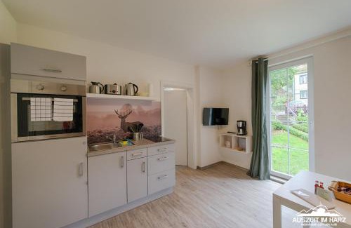 Mandelholz Apartment | Auszeit-im-Harz Haus 2 Wohnung 2
