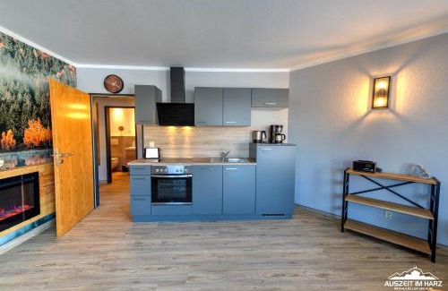 Stiege Apartment | Auszeit-im-Harz Haus 5 Wohnung 22