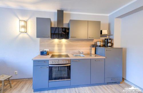 Stiege Apartment | Auszeit-im-Harz Haus 5 Wohnung 23