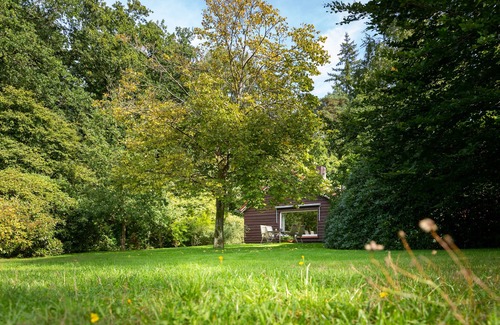 Vierhouten House | Authentic and comfortable forest lodge, with bath and fireplace. Pet friendly!