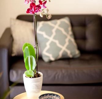 El Pilar Apartment | Authentic Charming Apartment/Wifi/Air Conditioning